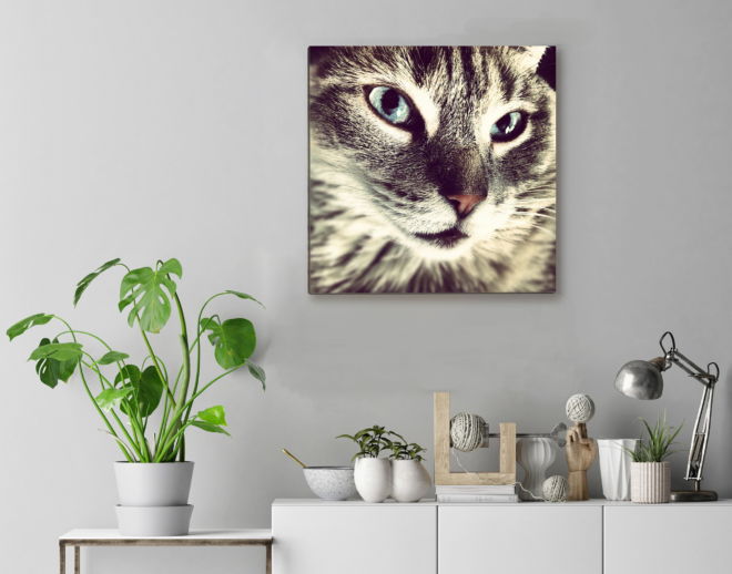 tablou canvas Feline Beauty NWA 016 mockup