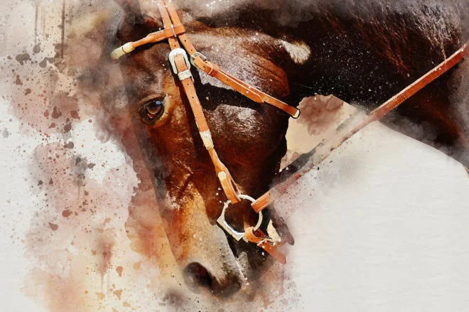 tablou canvas Brown horse NWA 024 1