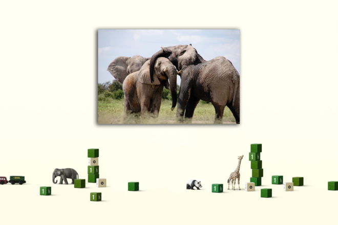 tablou canvas Elephants NWA 018 mockup 1