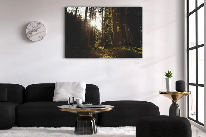 tablou canvas Forest sunlight NLS 001 mockup 2 1