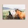 tablou canvas Horses NWA 008 mockup 1