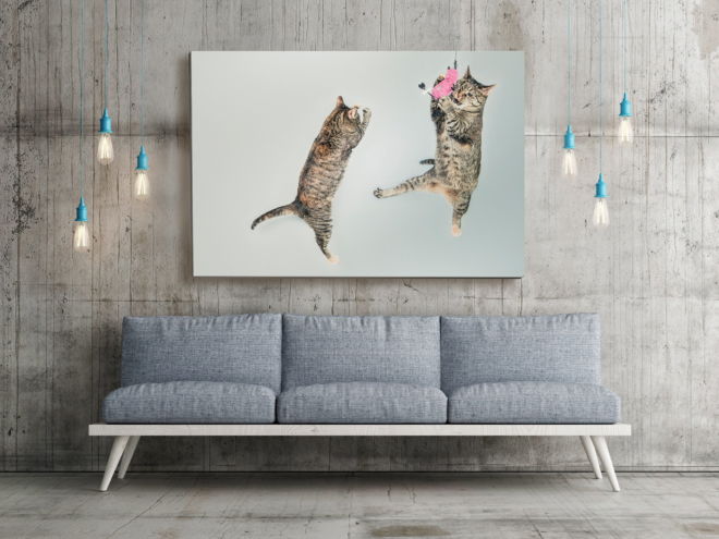 tablou canvas Jumping Cats NWA 011 mockup 1