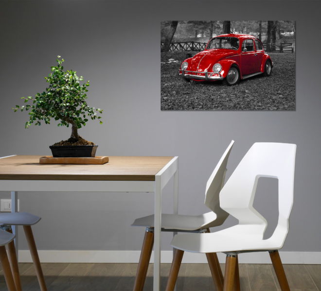 tablou canvas Red Beetle TOR 011 mockup 1