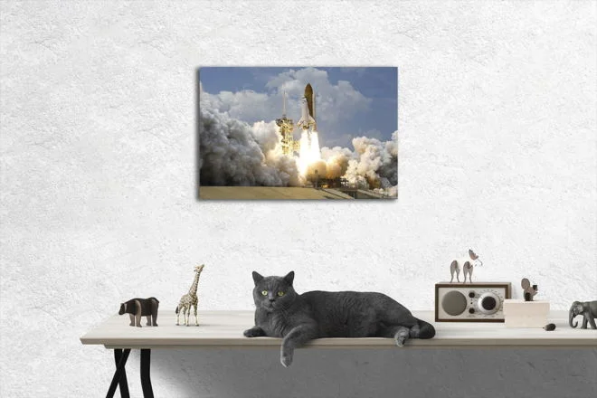 tablou canvas Rocket Launch TSP 004 mockup 1