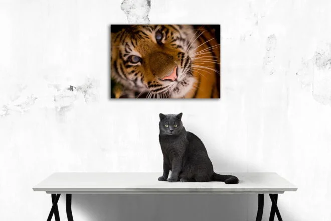 tablou canvas Tiger Eyes NWA 017 mockup 1