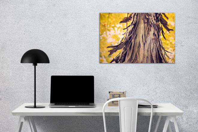 tablou canvas Tree Bark AWO 010 mockup 1