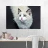 tablou canvas White kittie NWA 023 mockup 1