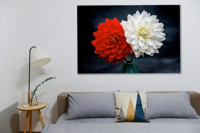 tablou canvas dalie rosie dalie alba NFL 021 mockup 1